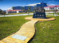 苏州天华矿业集团